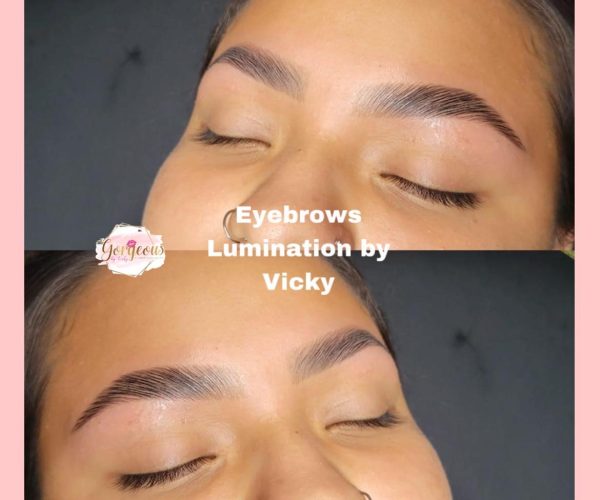 Eyebrows Lumination + Tint